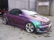 206CC Show Car